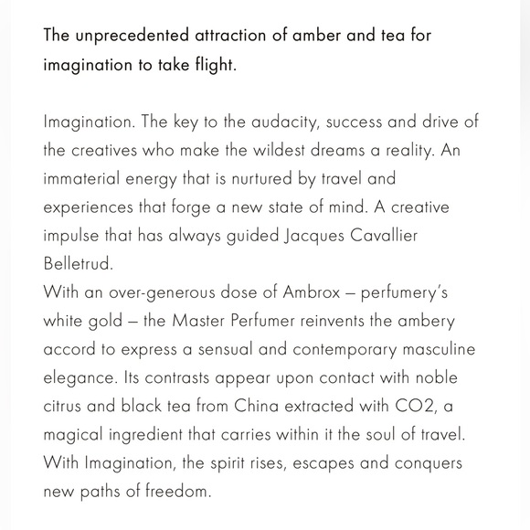 LOUIS VUITTON “Imagination” - Picture 8 of 8